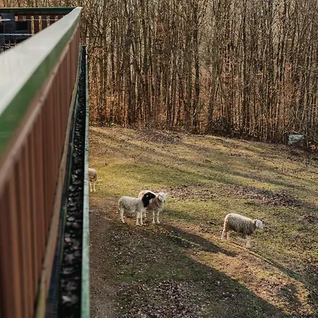 Am Schlehberg Hotel 3*