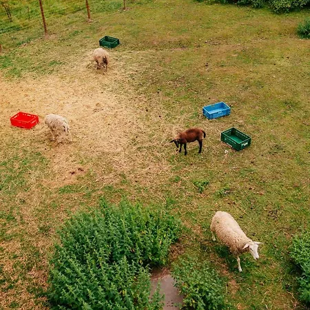 Am Schlehberg Hotel 3*